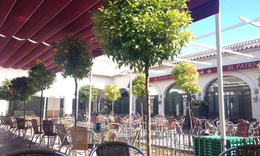 El Patio Andaluz, Casa de Andalucía, patio terraza
