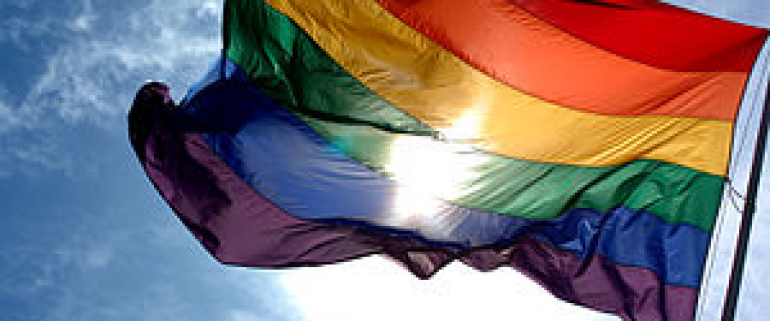 foto de wikipedia orgullo gay