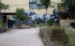Esta Es Una Plaza, EEUP huerto, grafitti toro y cerdo