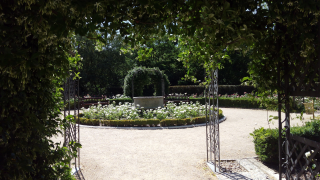 Jardines Campo del Moro, rosaleda