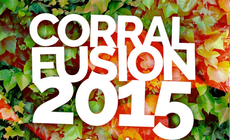 Festivales gratis por España, El Corral fusión de la cigüeña 2015 mayo